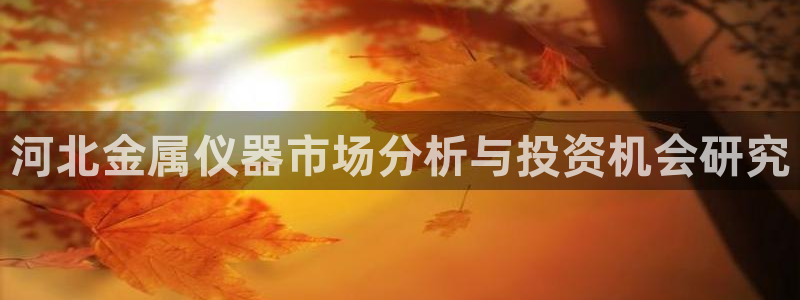 门徒娱乐线路图高清大图：河北金属仪器市场分析与投资机会研究