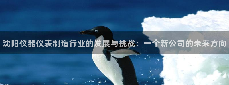 门徒彩票娱乐平台：沈阳仪器仪表制造行业的发展与挑战：一个新公