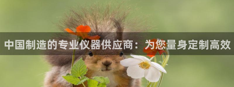 门徒娱乐怎么代理赚钱的：中国制造的专业仪器供应商：为您量身定