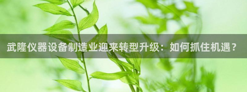 夏洛特娱乐门徒：武隆仪器设备制造业迎来转型升级：如何抓住机遇