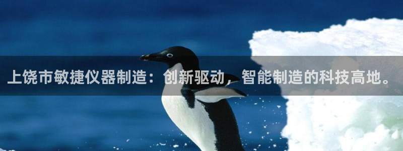 门徒娱乐主管月3299O7：上饶市敏捷仪器制造：创新驱动，智