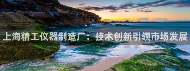 门徒娱乐做什么的：上海精工仪器制造厂：技术创新引领市场发展