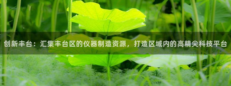 门徒娱乐怎么注册会员：创新丰台：汇集丰台区的仪器制造资源，打