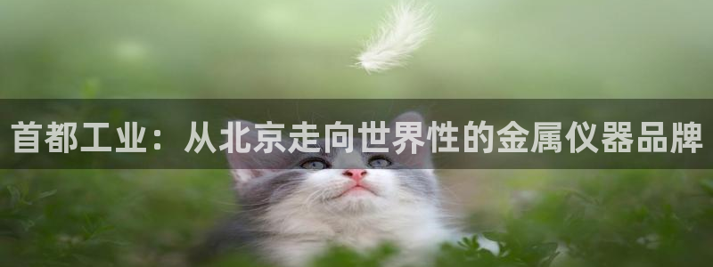 门徒娱乐提款一直处理中