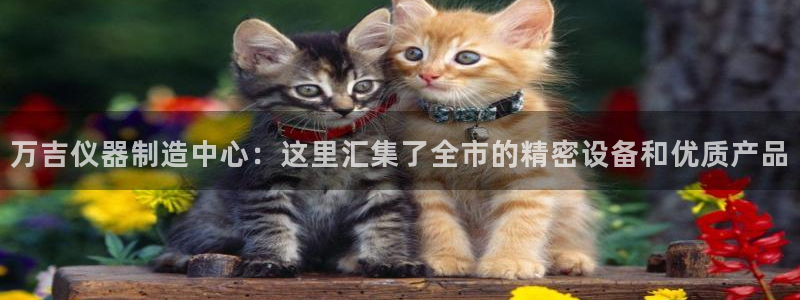 娱乐门徒百度云：万吉仪器制造中心：这里汇集了全市的精密设备和
