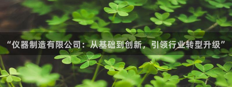 门徒娱乐平台代理公司：“仪器制造有限公司：从基础到创新，引领