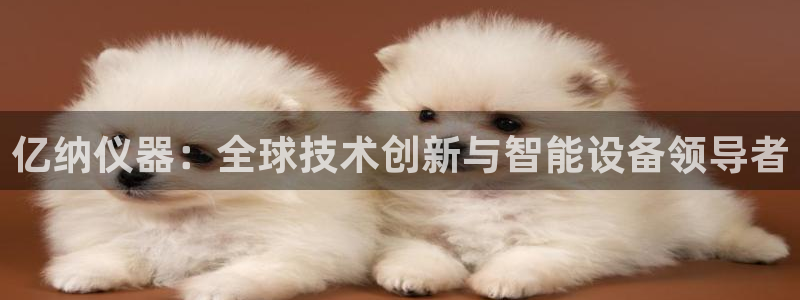 网易娱乐门徒：亿纳仪器：全球技术创新与智能设备领导者