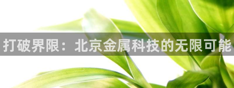 门徒娱乐 找86555：打破界限：北京金属科技的无限可能