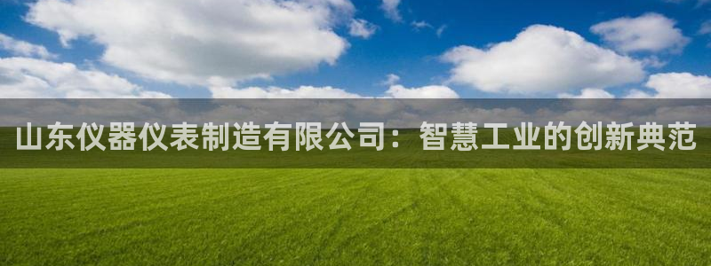 门徒娱乐系333OO：山东仪器仪表制造有限公司：智慧工业的创