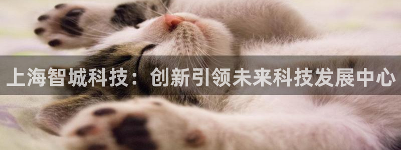 门徒娱乐登录平台有哪些：上海智城科技：创新引领未来科技发展中