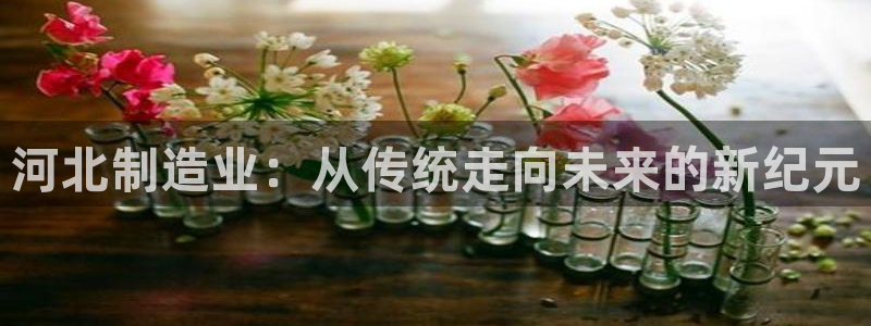 门徒娱乐产业分析：河北制造业：从传统走向未来的新纪元