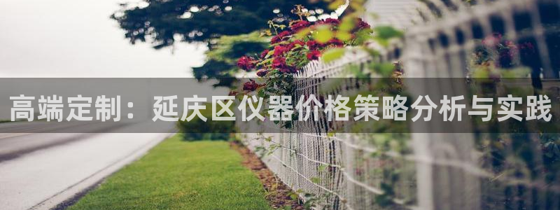 小刀娱乐门徒：高端定制：延庆区仪器价格策略分析与实践