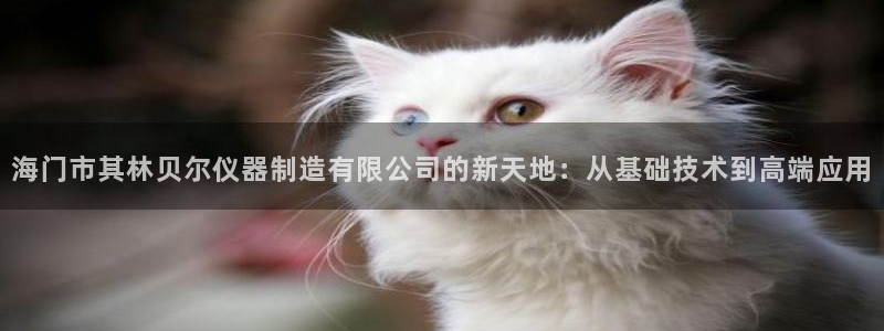门徒娱乐登录平台官网：海门市其林贝尔仪器制造有限公司的新天地