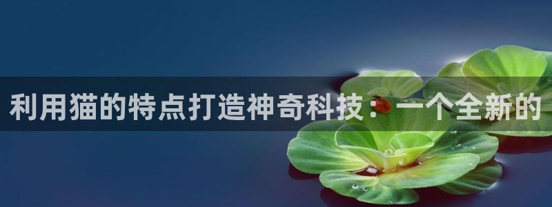 门徒娱乐用户评价与反馈：利用猫的特点打造神奇科技：一个全新的