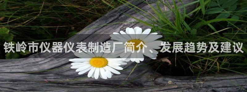 门徒娱乐平台下载：铁岭市仪器仪表制造厂简介、发展趋势及建议