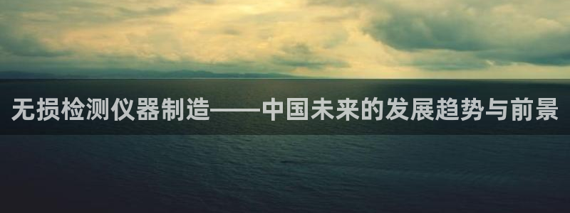 门徒娱乐用户评价与反馈怎么写：无损检测仪器制造——中国未来的