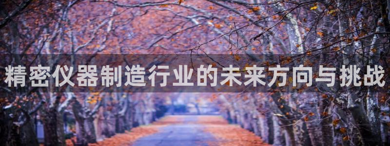 门徒娱乐联盟怎么样赚钱：精密仪器制造行业的未来方向与挑战