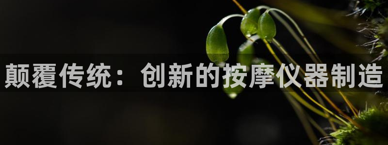 门徒娱乐传媒有限公司：颠覆传统：创新的按摩仪器制造