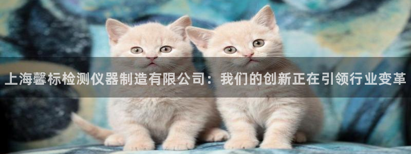 门徒娱乐平台怎么样：上海馨标检测仪器制造有限公司：我们的创新