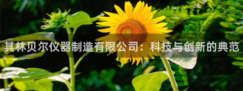 门徒娱乐线路图片高清图：其林贝尔仪器制造有限公司：科技与创新