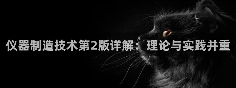 门徒娱乐团队介绍文案：仪器制造技术第2版详解：理论与实践并重