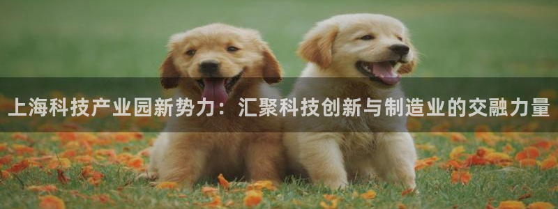 门徒娱乐咋样尼：上海科技产业园新势力：汇聚科技创新与制造业的