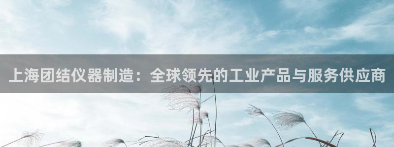 门徒娱乐注册官方：上海团结仪器制造：全球领先的工业产品与服务