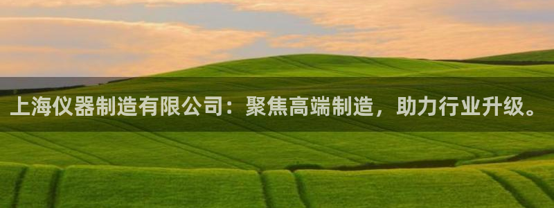 门徒娱乐是哪里的：上海仪器制造有限公司：聚焦高端制造，助力行