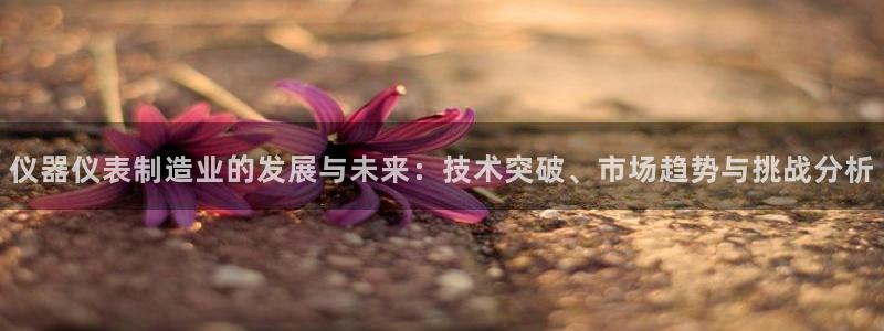 门徒娱乐主管去天神779O3：仪器仪表制造业的发展与未来：技