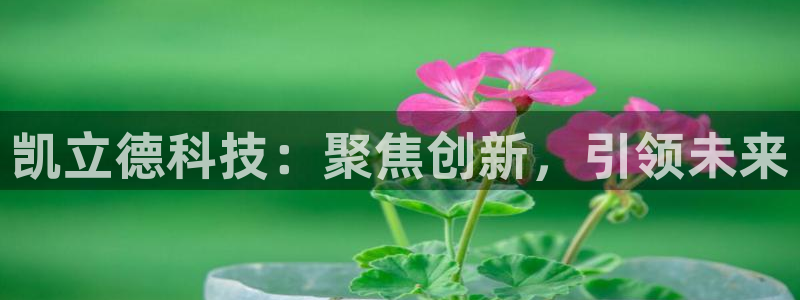 门徒娱乐山六七五一38：凯立德科技：聚焦创新，引领未来