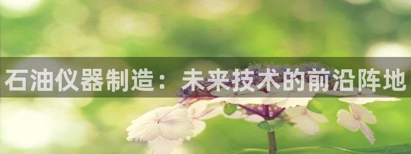 门徒娱乐网站官网：石油仪器制造：未来技术的前沿阵地