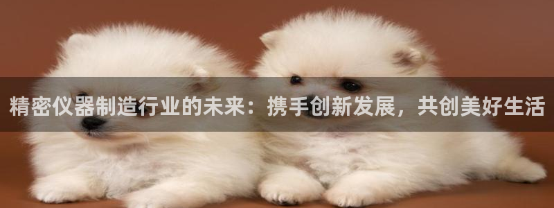 门徒娱乐题究7276O：精密仪器制造行业的未来：携手创新发展