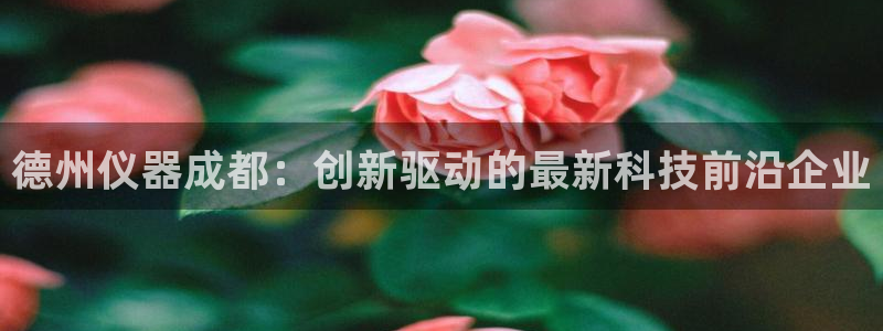 门徒娱乐注册官方微信号：德州仪器成都：创新驱动的最新科技前沿