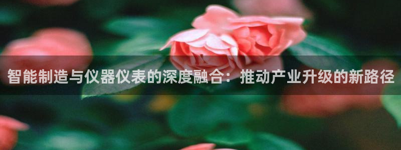 门徒娱乐-门徒娱乐注册：智能制造与仪器仪表的深度融合：推动产