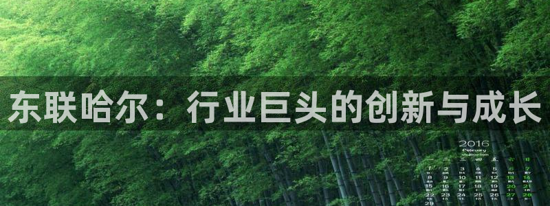 门徒娱乐是干啥的啊：东联哈尔：行业巨头的创新与成长