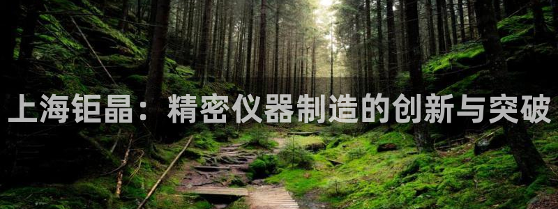 门徒娱乐招主管：上海钜晶：精密仪器制造的创新与突破