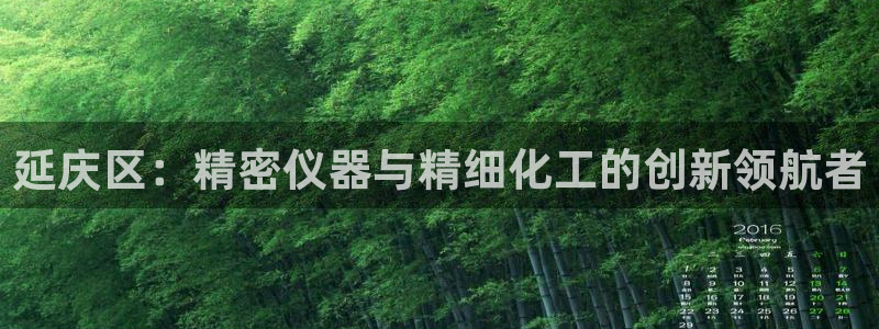 门徒娱乐充钱：延庆区：精密仪器与精细化工的创新领航者