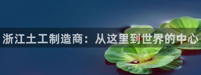 门徒娱乐怎么挂机赚钱：浙江土工制造商：从这里到世界的中心