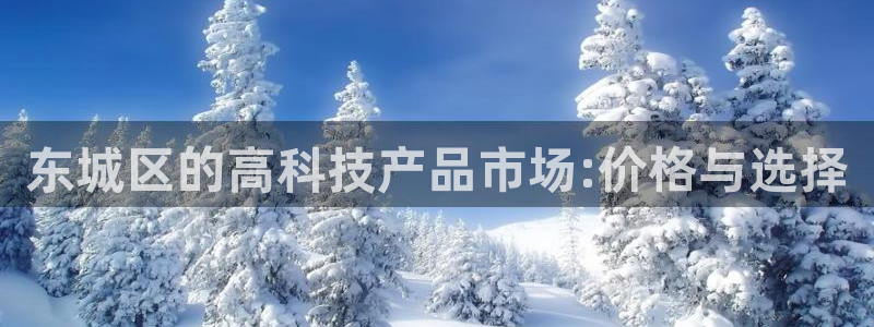 蓝狮和门徒娱乐哪个好：东城区的高科技产品市场:价格与选择