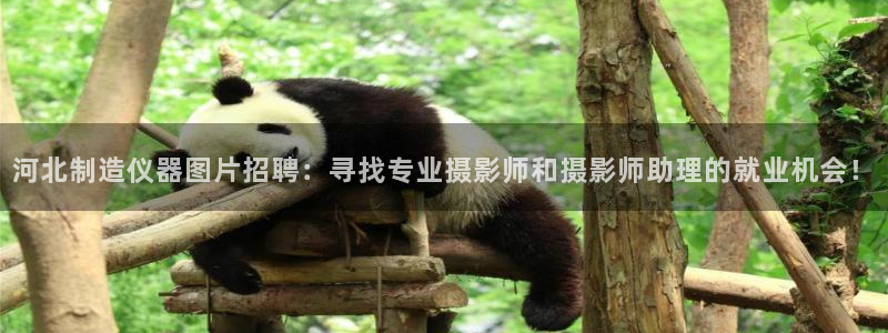 门徒娱乐与六七五一38：河北制造仪器图片招聘：寻找专业摄影师