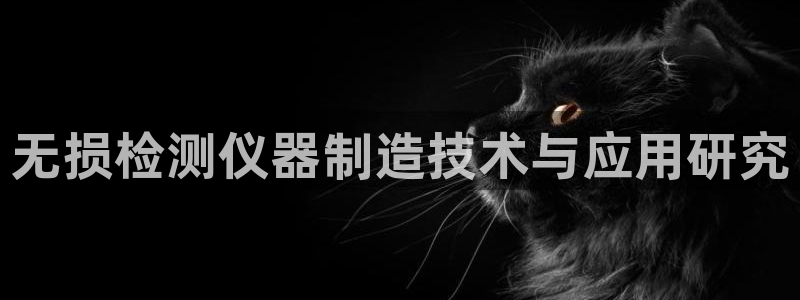 门徒娱乐代理怎么做：无损检测仪器制造技术与应用研究