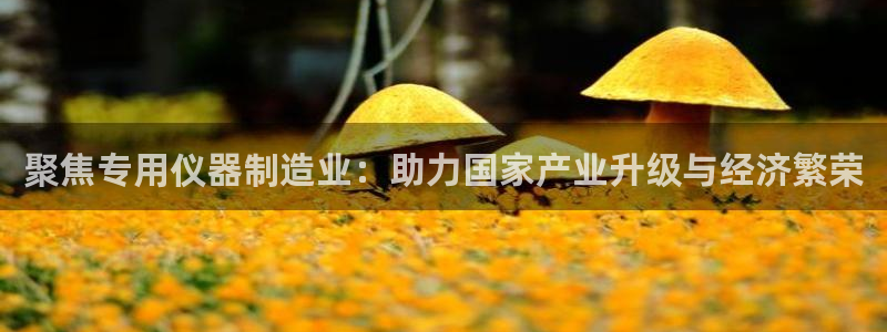 娱乐门徒完结了没有：聚焦专用仪器制造业：助力国家产业升级与经