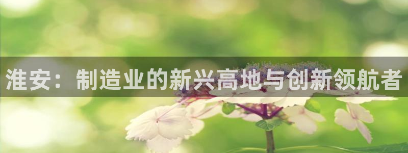 娱乐门徒电影海报：淮安：制造业的新兴高地与创新领航者