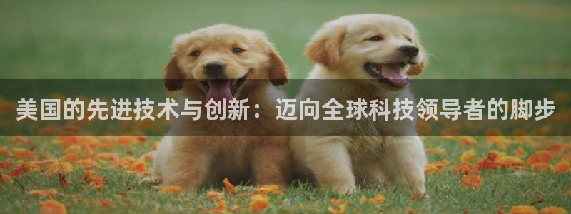 门徒娱乐平台代理登录：美国的先进技术与创新：迈向全球科技领导