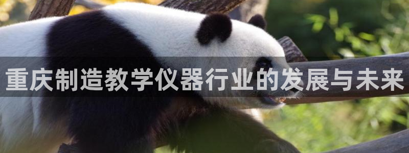 门徒娱乐注册订唐老鸭779O3：重庆制造教学仪器行业的发展与