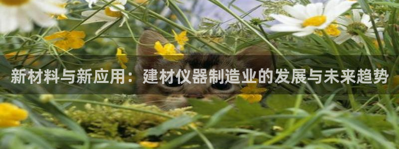 门徒娱乐题究7276O：新材料与新应用：建材仪器制造业的发展