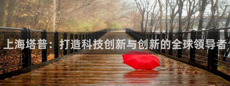 门徒娱乐项目有哪些游戏：上海塔普：打造科技创新与创新的全球领
