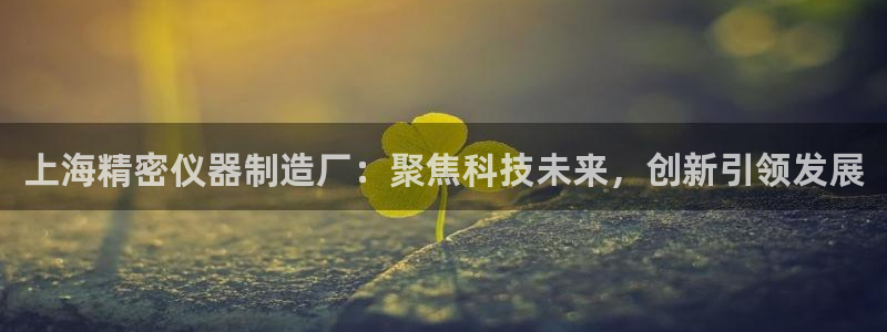 门徒娱乐左：上海精密仪器制造厂：聚焦科技未来，创新引领发展