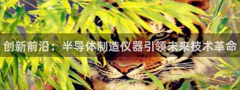 娱乐门徒好看么：创新前沿：半导体制造仪器引领未来技术革命