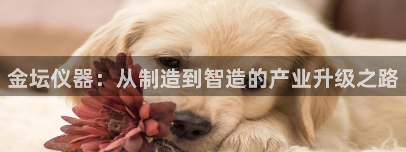 门徒娱乐行拔7276O：金坛仪器：从制造到智造的产业升级之路